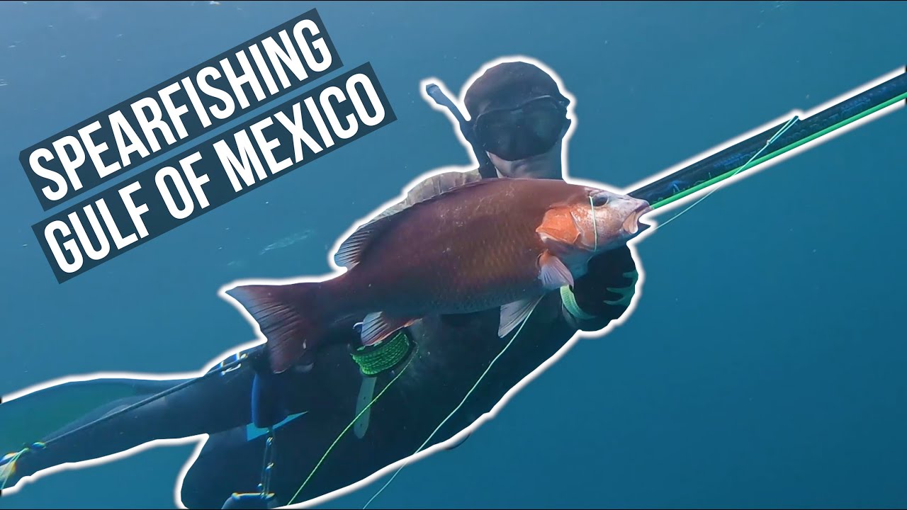 Spearfishing BIG Fish on Offshore Oil Rigs & Wrecks Gulf of Mexico (2020)