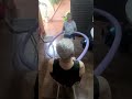 Exercícios para idosos