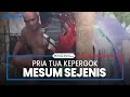 Pria Tua Kepergok Mesum Sejenis