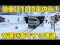 【1日2本】日本屈指の秘境駅に行ってきた