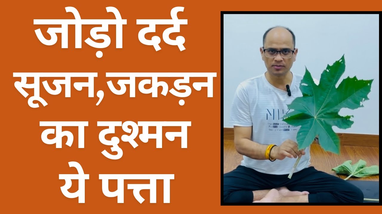 दर्द सूजन और जकड़न का नामोनिशान मिटा देगा ये पत्ता।घुटने दर्द का घरेलू उपचार 