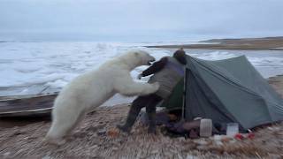 They Watched Their Friend Get Mauled by a Polar Bear