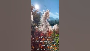 القارئ عثمان الطيب برواية البزي عن ابن كثير