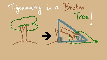 The broken tree problem - applying trigonometry