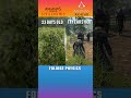 Assassin S Creed Shadows Vs Assassin S Creed Rogue Foliage Physics Assassinscreedshadows Shorts mp3