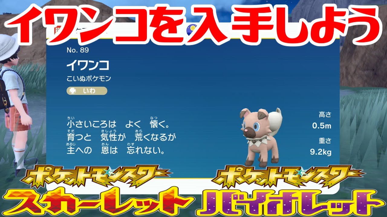 ポケモンsv イワンコを入手しよう ポケットモンスター スカーレット バイオレット Pocket Monsters Youtube