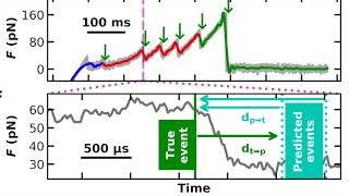 FEATHER: Automated Analysis of Force Spectroscopy Unbinding/Unfolding Data via a Bayesian Algorithm
