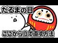 ダルマの目、ここから立て直せますか?