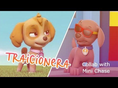 Traicionera/ Sebastian Yatra (Skuma Tribute)/ Paw Musical - Collab with [ Mini Chase]