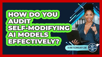 How Do You Audit Self-modifying AI Models Effectively? - AI and Technology Law