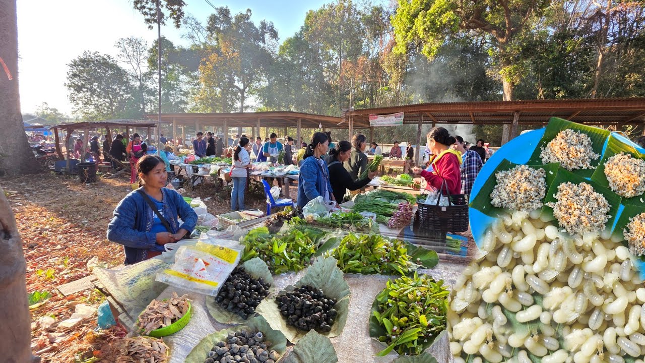 บรรยากาศบ้านๆ EP 04 ตลาดขุมคำ อาหารอีสานไข่มดแดง ต.แก่งเค็ง อ.กุดข้าวปุ้น จ.อุบลราชธานี