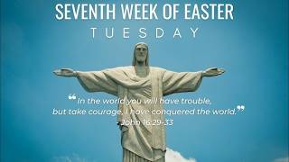 Tuesday of the Seventh Week of Easter | 5/19/26 l 8:00AM | Fr Paul