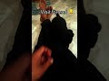 Cute Puppy ka funny reaction 😂🐶#shorts #pets