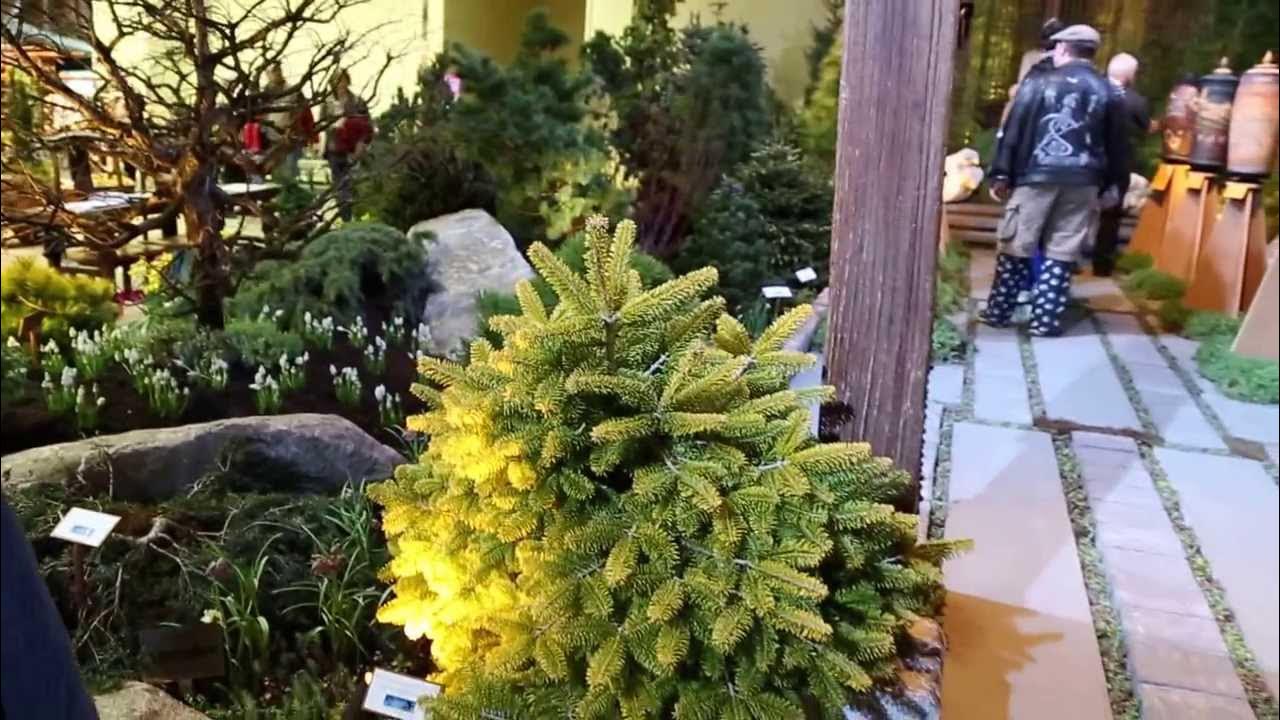 Day of the show Seattle Flower Garden Show 2014 Amazing Maples