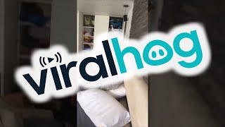 Trapped in Apartment During Earthquake in Mexico City || ViralHog