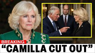 King Charles REWRITES Succession Documents REMOVES Camilla From George's Regency