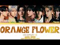 ENHYPEN 엔하이픈 Orange Flower You Complete Me Lyrics 가사 Color Coded Han Rom Eng Mihyunii