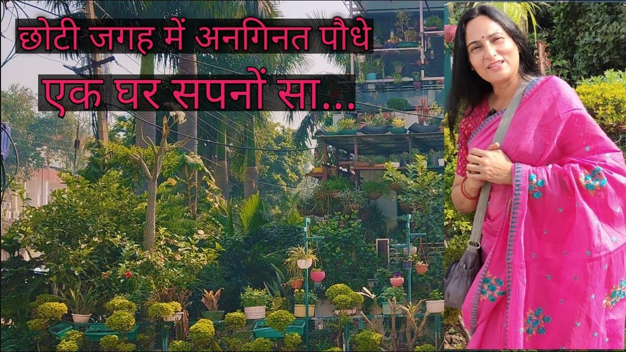 Beautiful  home garden  tour | Make a beautiful dense garden with low maintenance and low cost