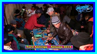 🐮🎼🌺 TORIL en AUTAMA 2019 ENJALME APAYCUY 💟🎀🎧