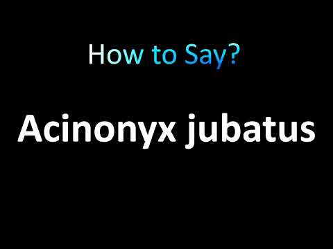 How to Pronounce