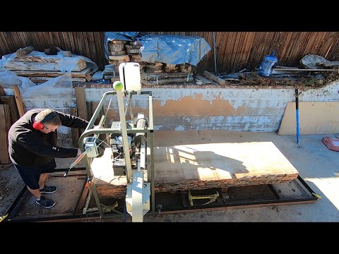 Urban logging/ Cutting slabs with my Hudson Warrior sawmill - The entire process start to finish