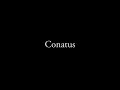 Conatus - Empty Spaces - Teaser