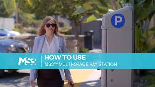 IPS MS3™ Multi-space Pay Station Pay-by-Space