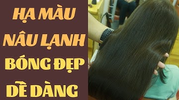 Công thức hạ màu nâu lạnh bóng đẹp trên nền tóc hư tổn | Huynh Nguyễn