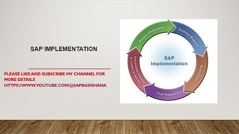 SAP Implementation Project - Explaining