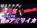 夜釣りでアオリイカ!新釣法だもんで式で梅雨の合間にアオリイカを狙う!魚突きでイシダイ・コブダイ・キジハタも!!【28話】