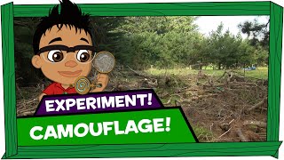 Kid Experiments: Camouflage - Darwin and Newts