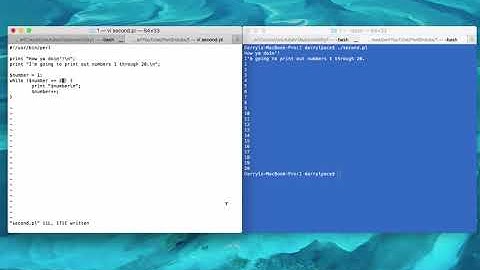 Learn about Perl while loops, if statements, assignment operator, variables