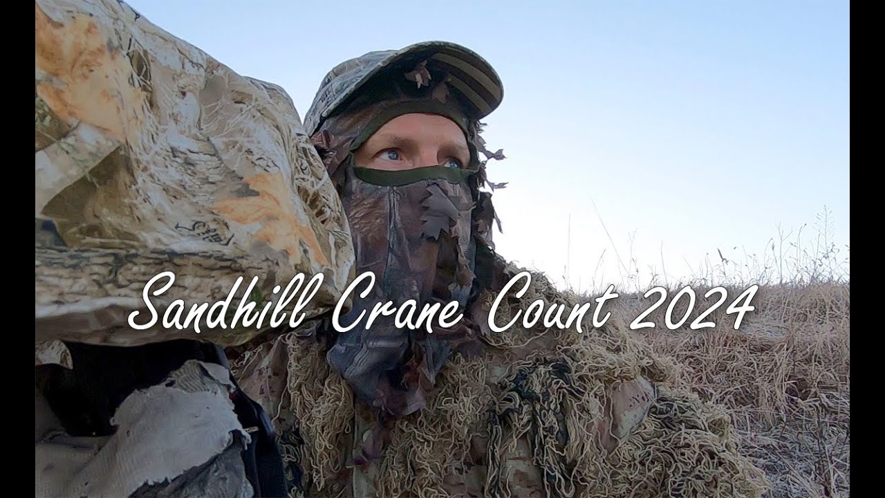 Sandhill Crane Count 2024 YouTube