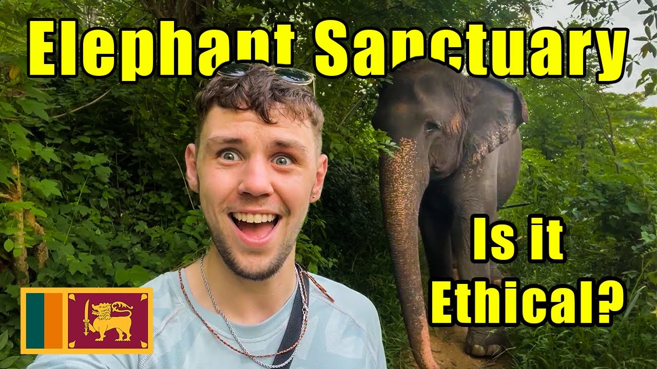 Visiting the Elephant Freedom Project, Sri Lanka 🇱🇰