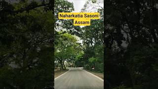 Naharkatia sasoni Assam #newvideo #travel #shorts #shortsviral  #viral #trending #naharkatia #short