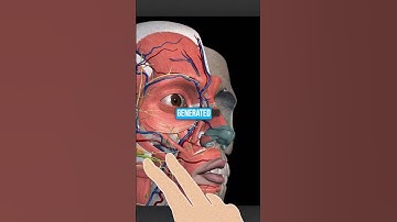 How I Mastered Anatomy (And How You Can Too)