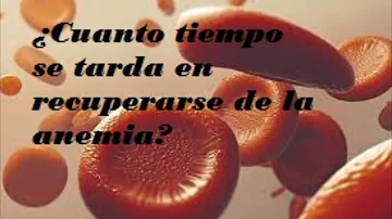 ¿Cuánto tiempo se tarda en recuperarse de una anemia?