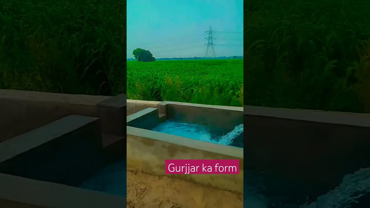  short video YouTube videos Gurjar ka form 