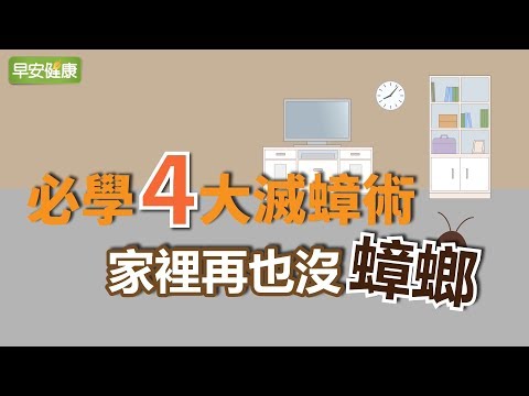 蟑螂最愛躲這…必學4大滅蟑術，家裡再也沒蟑螂！【早安健康】