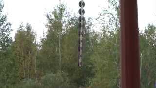 Trimming trees by power line with helicopter (Colby,WI)