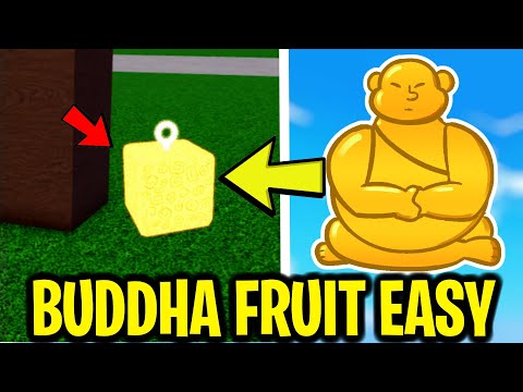 Finding Buddha Fruit With a LVL 1 ACC using FRUIT NOTIFIER