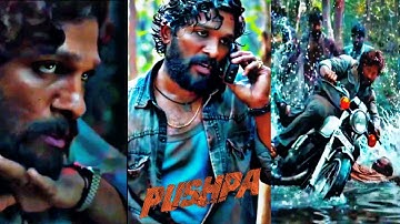 Pushpa XML Attitude Alight Motion Editing Status Allu Arjun | #pushpa#xml#attitude#status#alluarjun