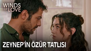 Zeynep'in özür için yaptığı jest | Rüzgarlı Tepe 110. Bölüm