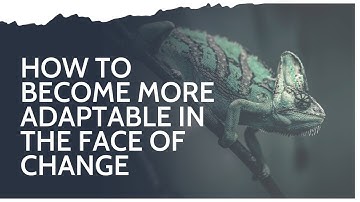 How to become more adaptable in the face of change with Rich Alderton