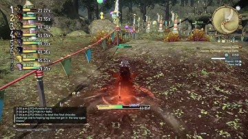 FINAL FANTASY XIV Chocobo Challenge 15