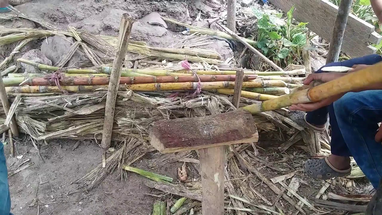JOVEN INVENTA EXTRACTOR DE JUGO DE CAÑA