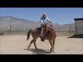 The One Rein Stop, Answers to Some Questions, and Cowboy Etiquette Pt 1