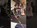 عبد السلام في دبي مجنن الرقاصه المغربيه عبد السلام في دبي مجنن الرقاصه المغربيه