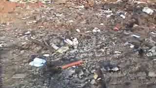 scarboro_landfill_violations