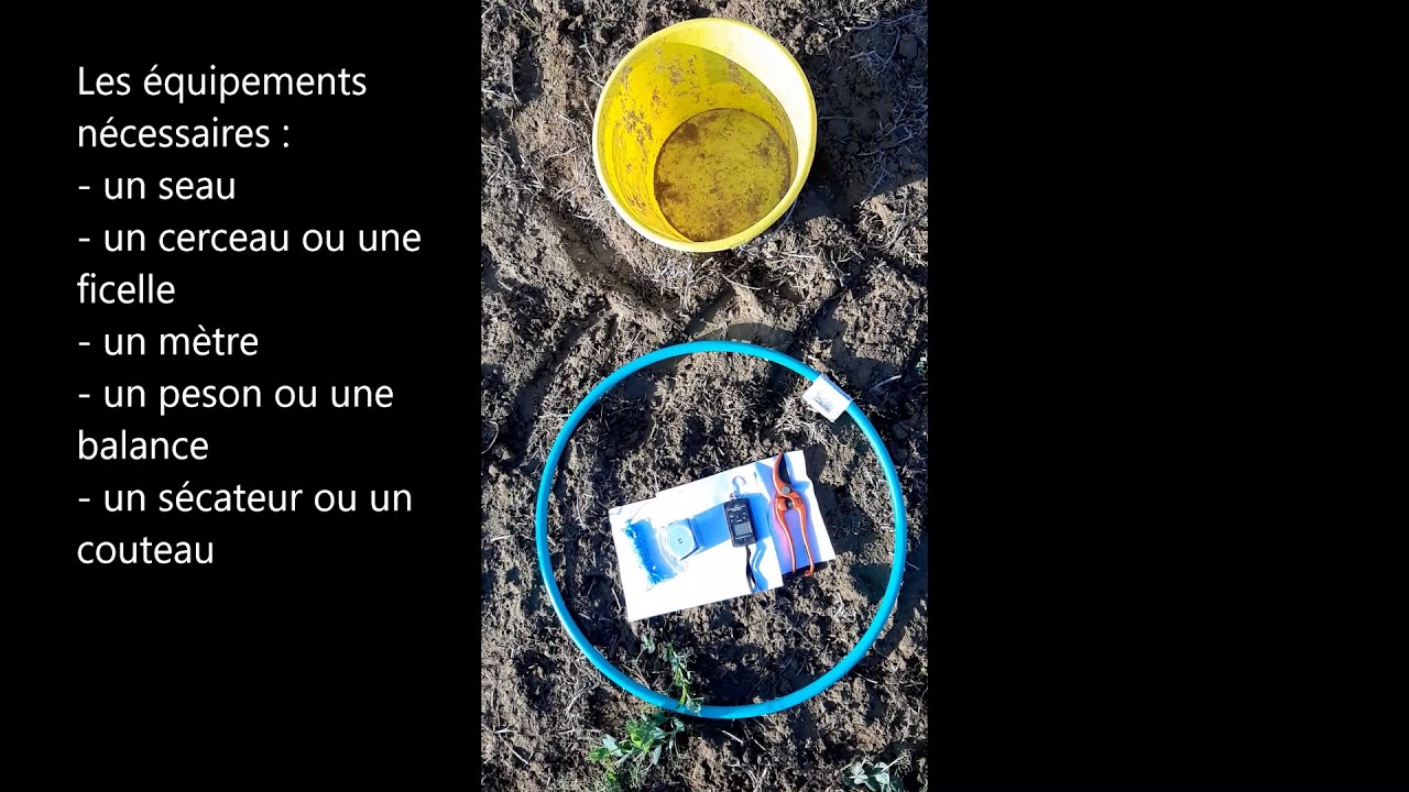 Couverts végétaux :  mesure de biomasse et estimation de la restitution en éléments fertilisants